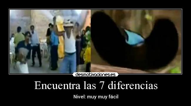 carteles pajaro borracho desmotivaciones