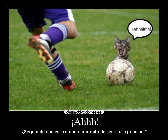 ¡Ahhh! - ¿Seguro de que es la manera correcta de llegar a la principal?