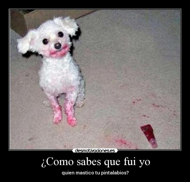 ¿Como sabes que fui yo - 