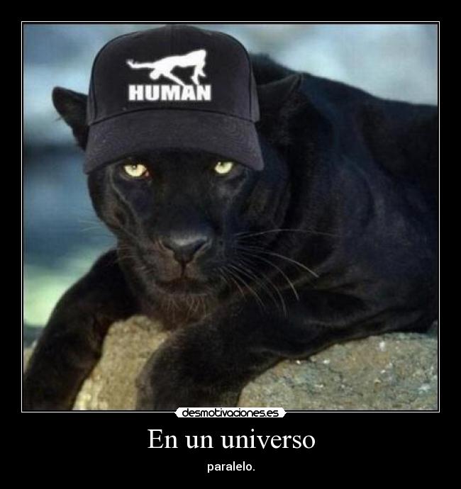 En un universo -