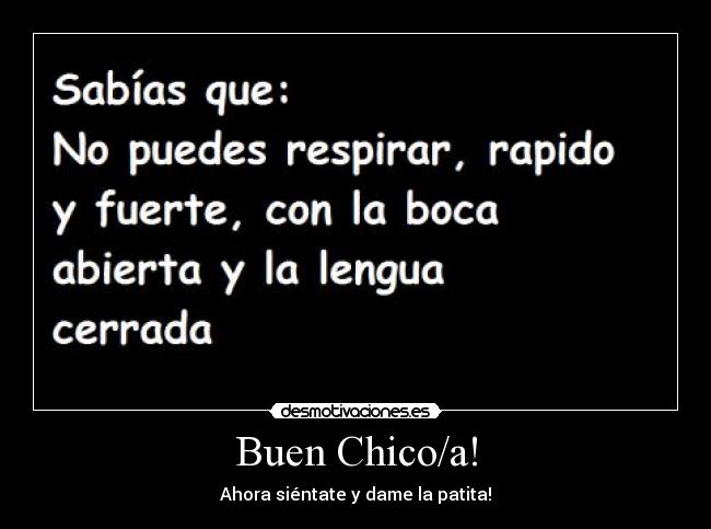 carteles perro desmotivaciones