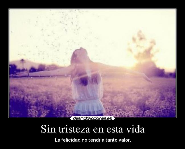 Sin tristeza en esta vida -