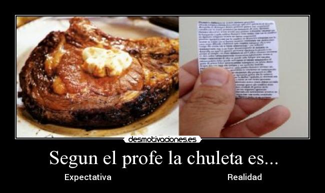 Segun el profe la chuleta es... - Expectativa Realidad