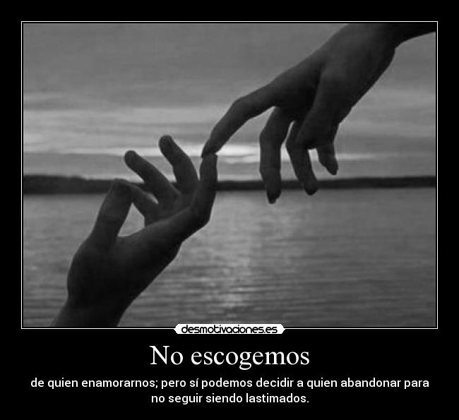 No escogemos - 