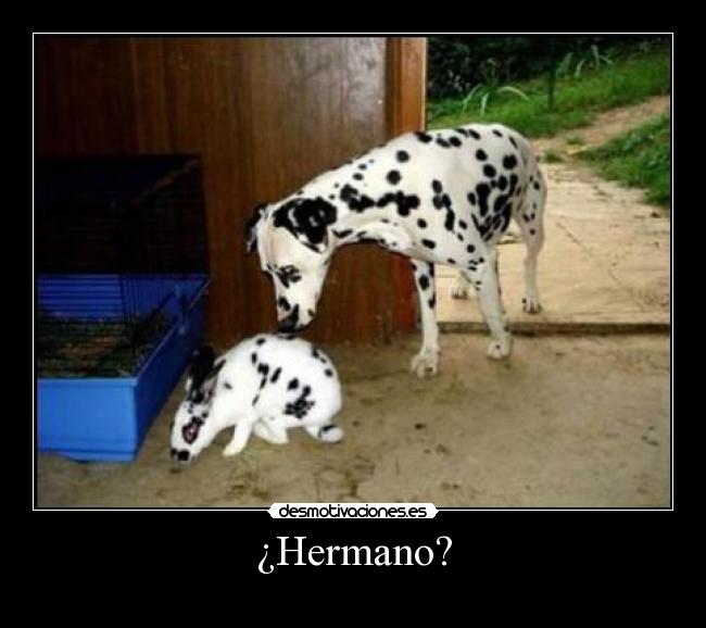 ¿Hermano? -