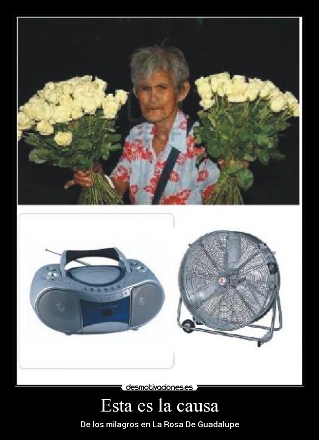 Esta es la causa - De los milagros en La Rosa De Guadalupe