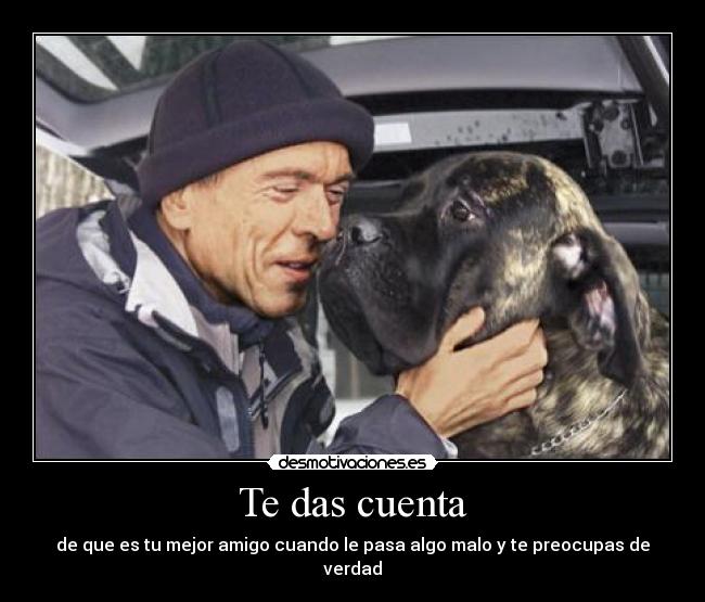 Te das cuenta - de que es tu mejor amigo cuando le pasa algo malo y te preocupas de verdad