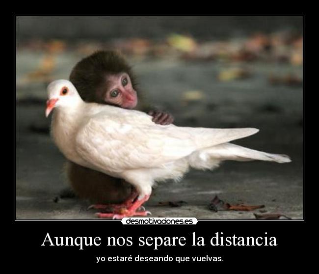 carteles distancia aunque nos separe desmotivaciones