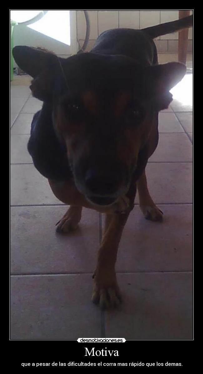 Motiva - que a pesar de las dificultades el corra mas rápido que los demas.