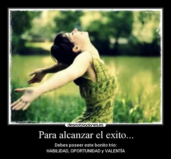 Para alcanzar el exito... - Debes poseer este bonito trio:
HABILIDAD, OPORTUNIDAD y VALENTÍA