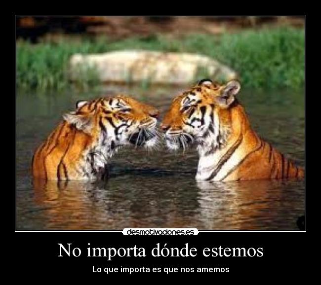 No importa dónde estemos - Lo que importa es que nos amemos