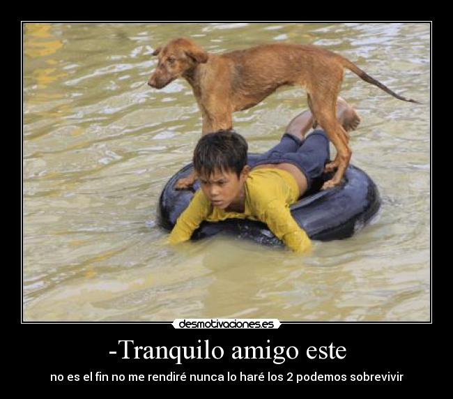 carteles amor lindo tierno sobrevivir amigo perro nino inundacion confianza desmotivaciones