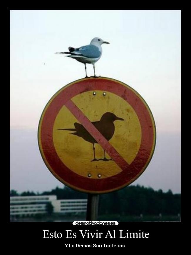 Esto Es Vivir Al Limite -