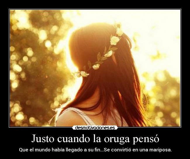 carteles oruga mariposa fin del mundo feliz alegria smile desmotivaciones