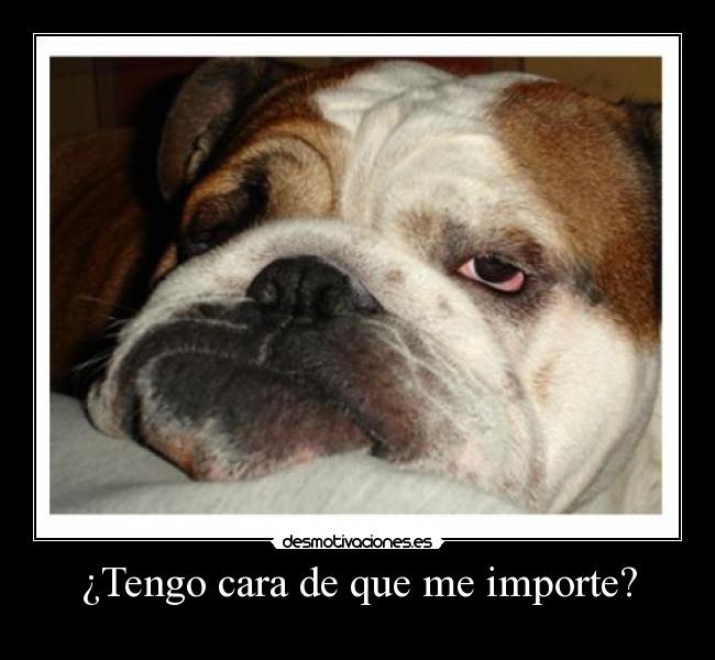 ¿Tengo cara de que me importe? -