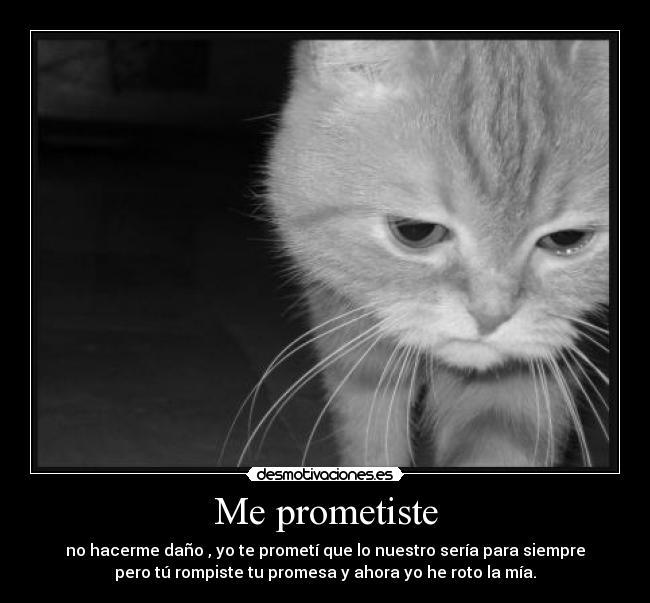 Me prometiste -