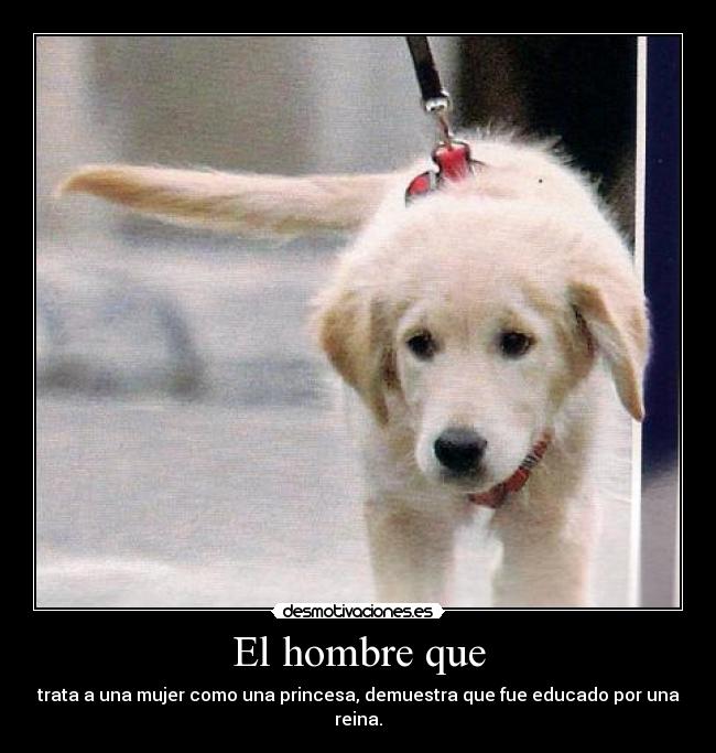 El hombre que - trata a una mujer como una princesa, demuestra que fue educado por una reina.