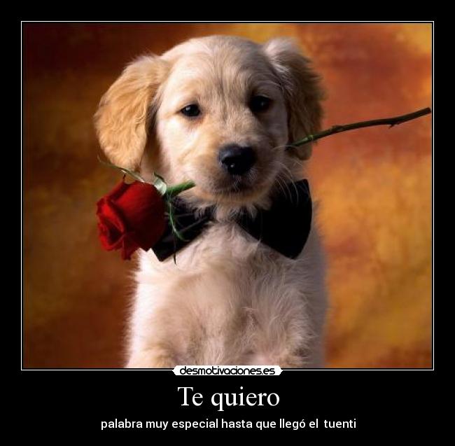 Te quiero - palabra muy especial hasta que llegó el tuenti