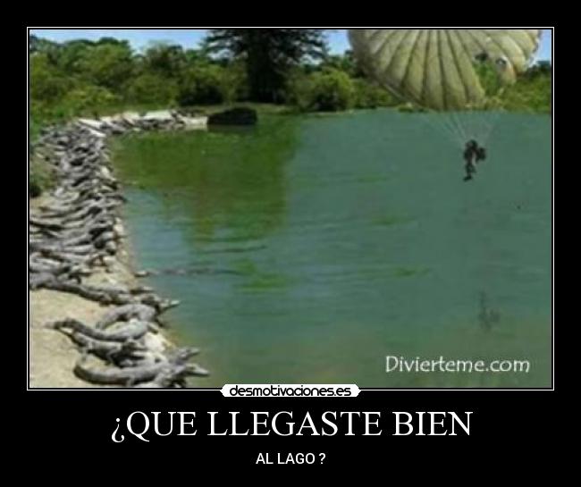 carteles malditos cocodrilos desmotivaciones