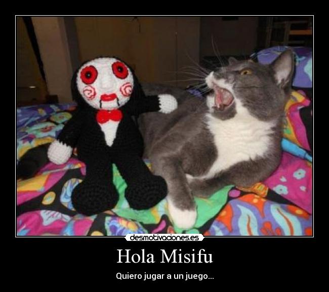 Hola Misifu -