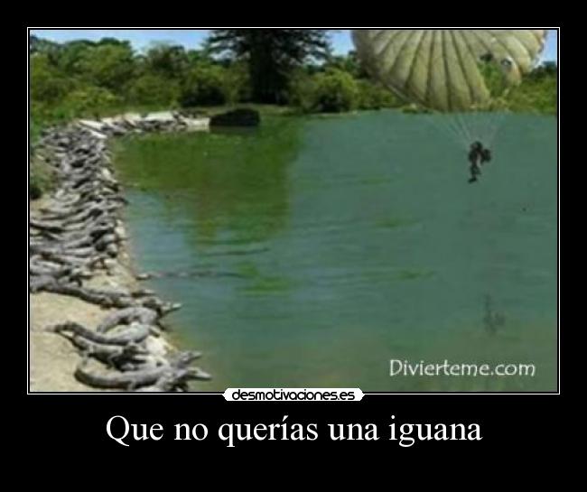 Que no querías una iguana -