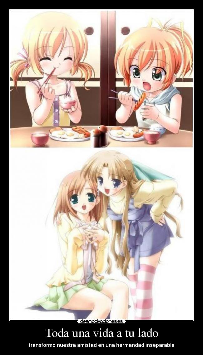 Toda una vida a tu lado -