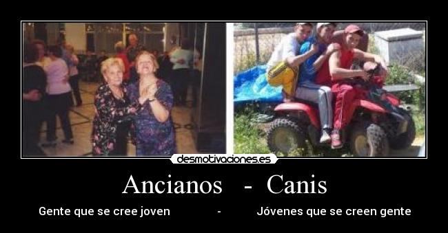 Ancianos   -  Canis - Gente que se cree joven                 -             Jóvenes que se creen gente