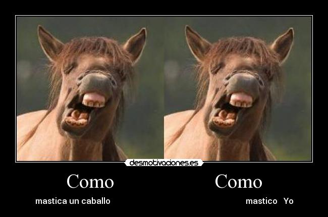 Como Como - mastica un caballo mastico Yo