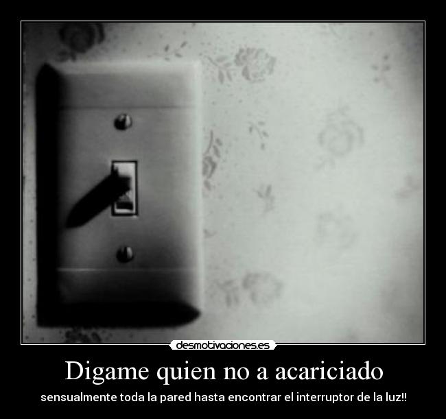 Digame quien no a acariciado -