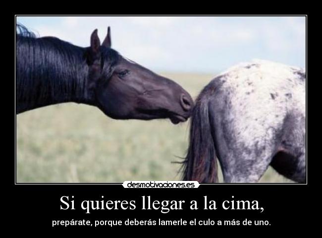 Si quieres llegar a la cima, - prepárate, porque deberás lamerle el culo a más de uno.