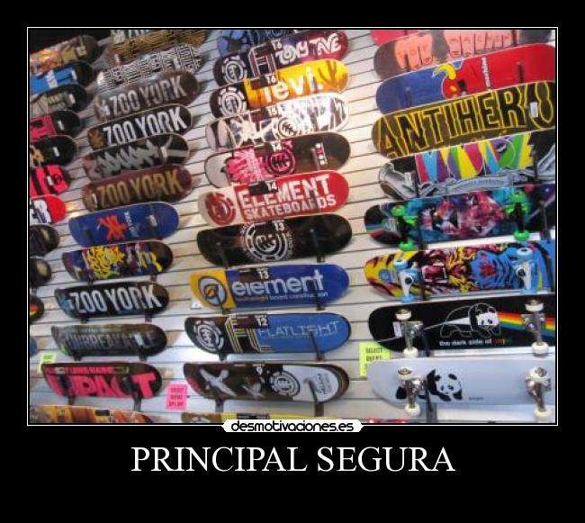 PRINCIPAL SEGURA -