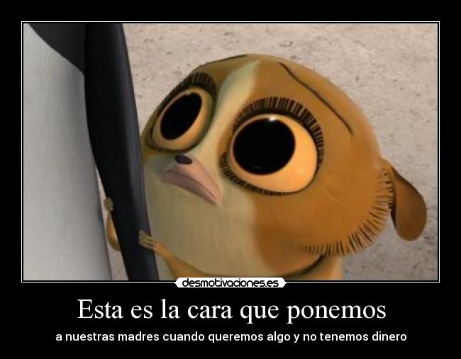 Esta es la cara que ponemos - a nuestras madres cuando queremos algo y no tenemos dinero