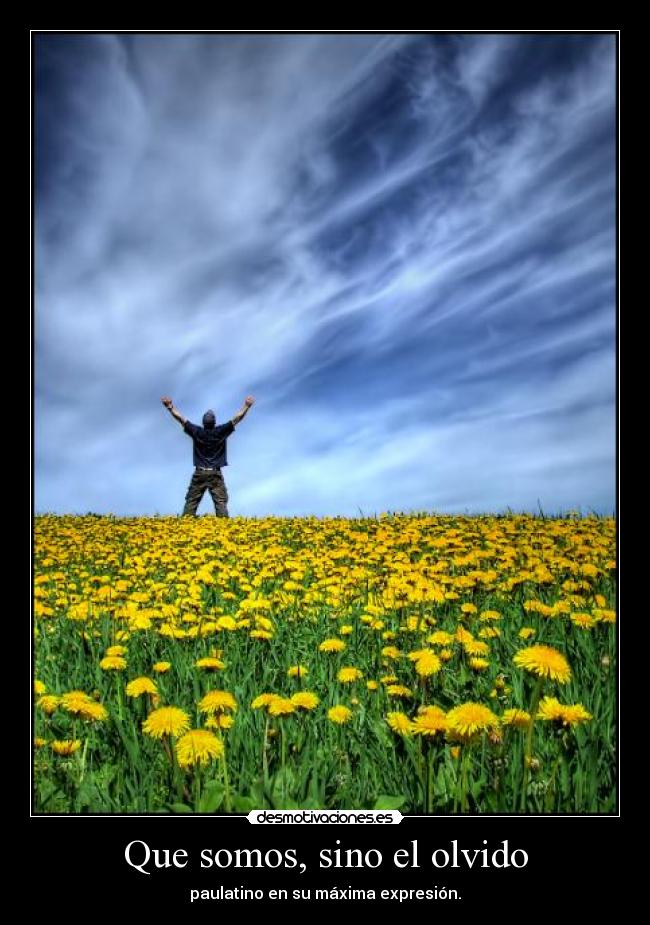 Que somos, sino el olvido -