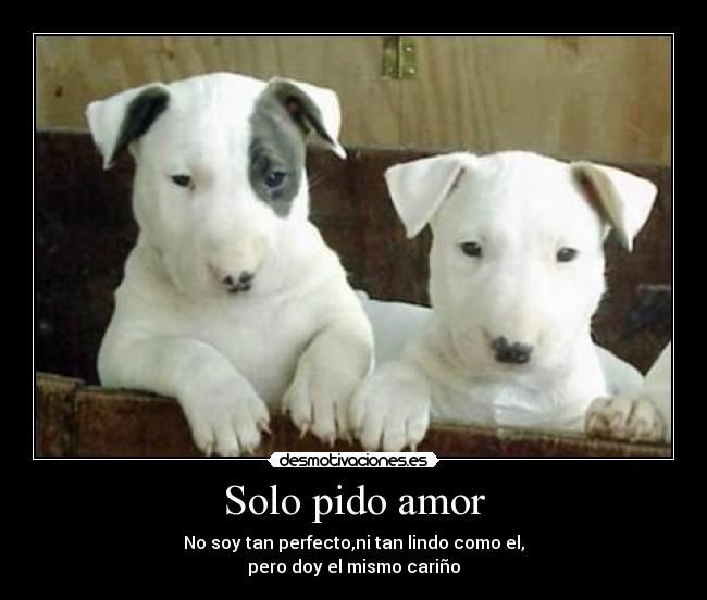 carteles amor sentimientos desmotivaciones