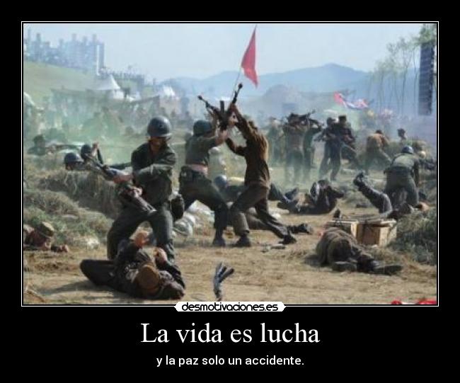 carteles vida vida lucha cavediver desmotivaciones