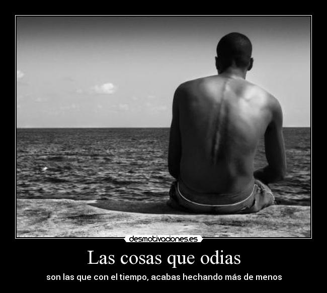 Las cosas que odias -