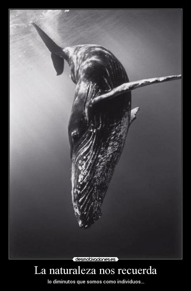 La naturaleza nos recuerda -