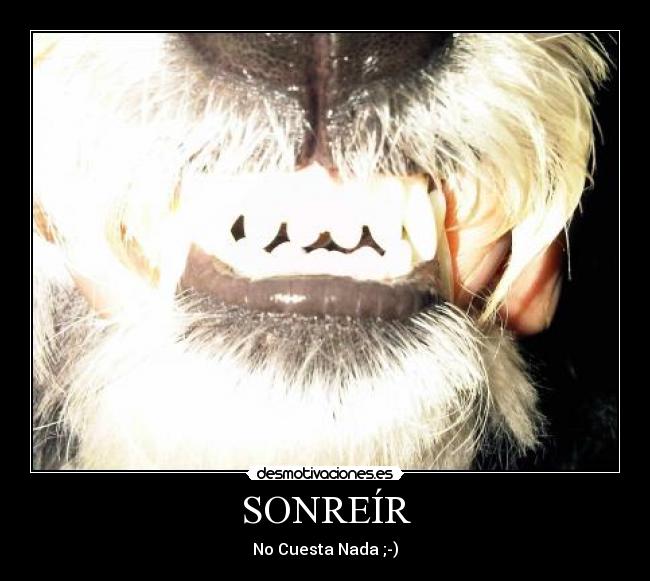 carteles alejandrox16 desmotivaciones