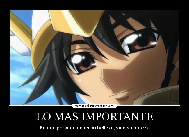 LO MAS IMPORTANTE - En una persona no es su belleza, sino su pureza