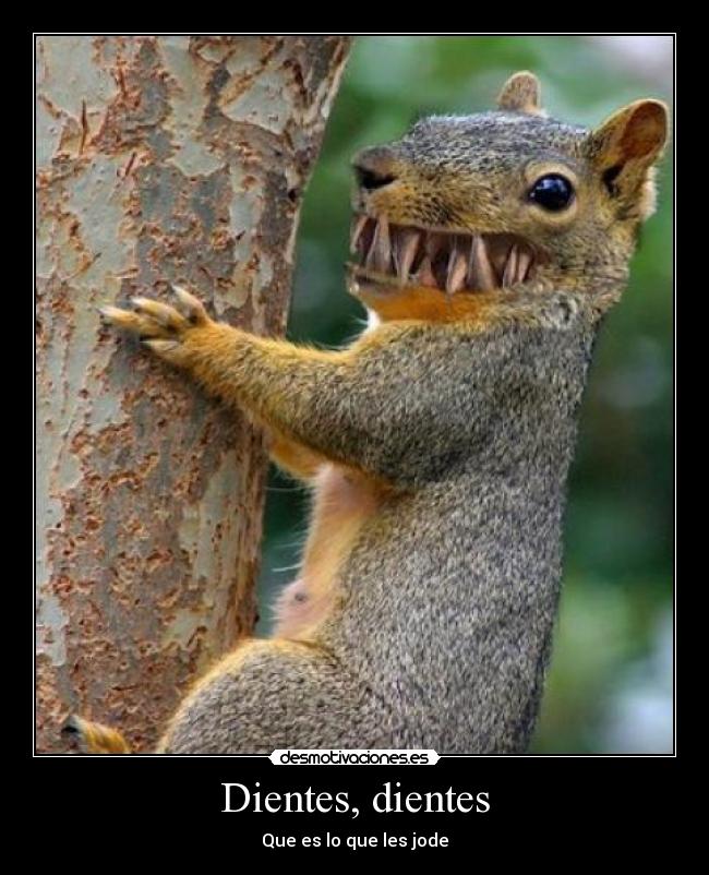 Dientes, dientes -