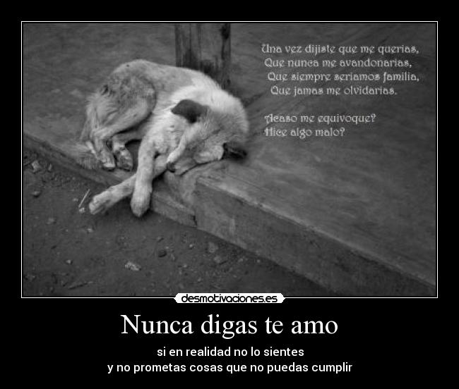 Nunca digas te amo - si en realidad no lo sientes
y no prometas cosas que no puedas cumplir