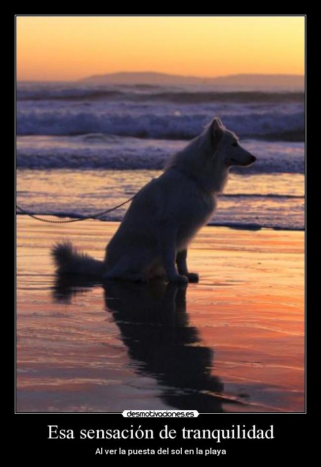 Esa sensación de tranquilidad - 