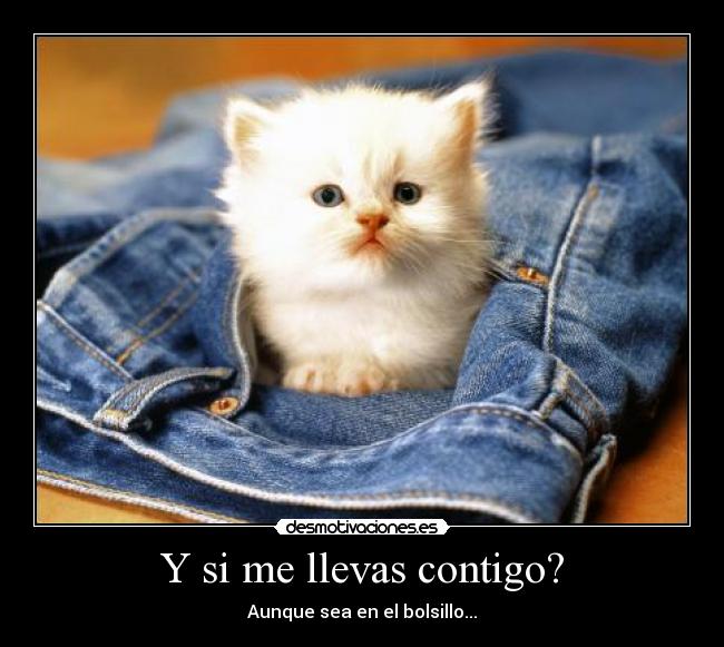 Y si me llevas contigo? -