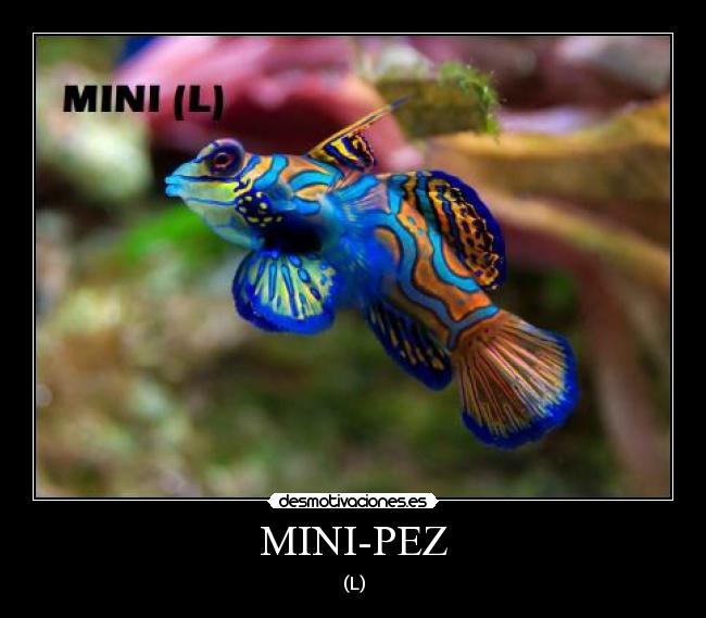 MINI-PEZ - (L)