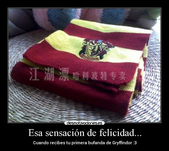 carteles felicidad harry potter desmotivaciones