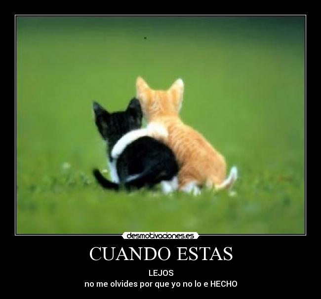 CUANDO ESTAS -