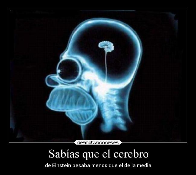 Sabías que el cerebro - 