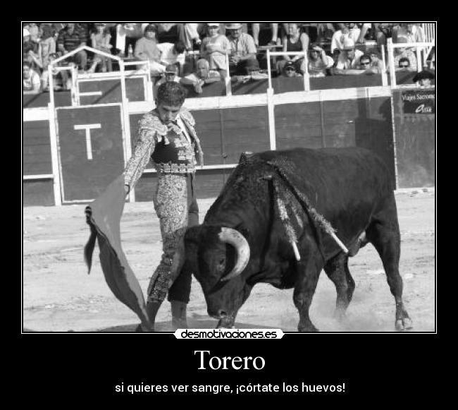 Torero - si quieres ver sangre, ¡córtate los huevos!