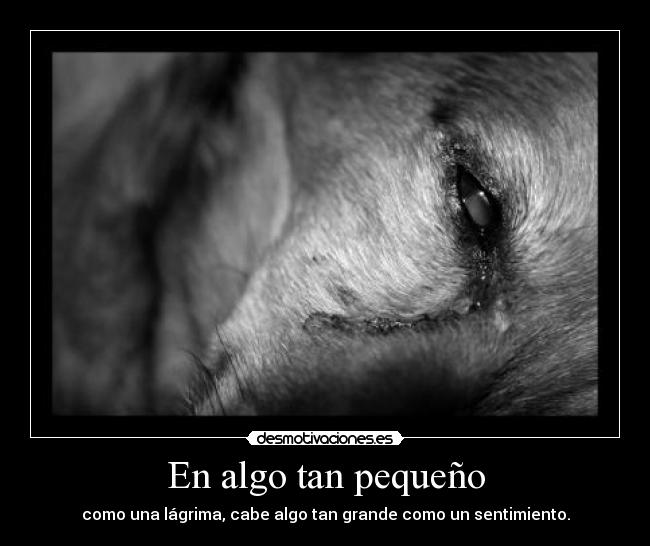 En algo tan pequeño - 