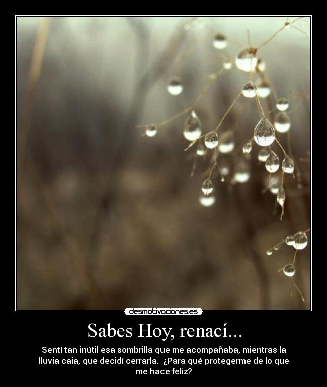 Sabes Hoy, renací... - Sentí tan inútil esa sombrilla que me acompañaba, mientras la
lluvia caia, que decidí cerrarla.  ¿Para qué protegerme de lo que
me hace feliz?